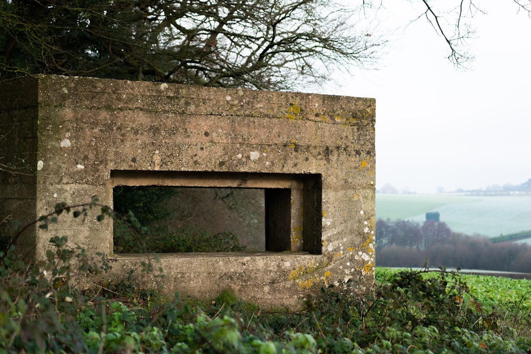 Photo Bomb shelter