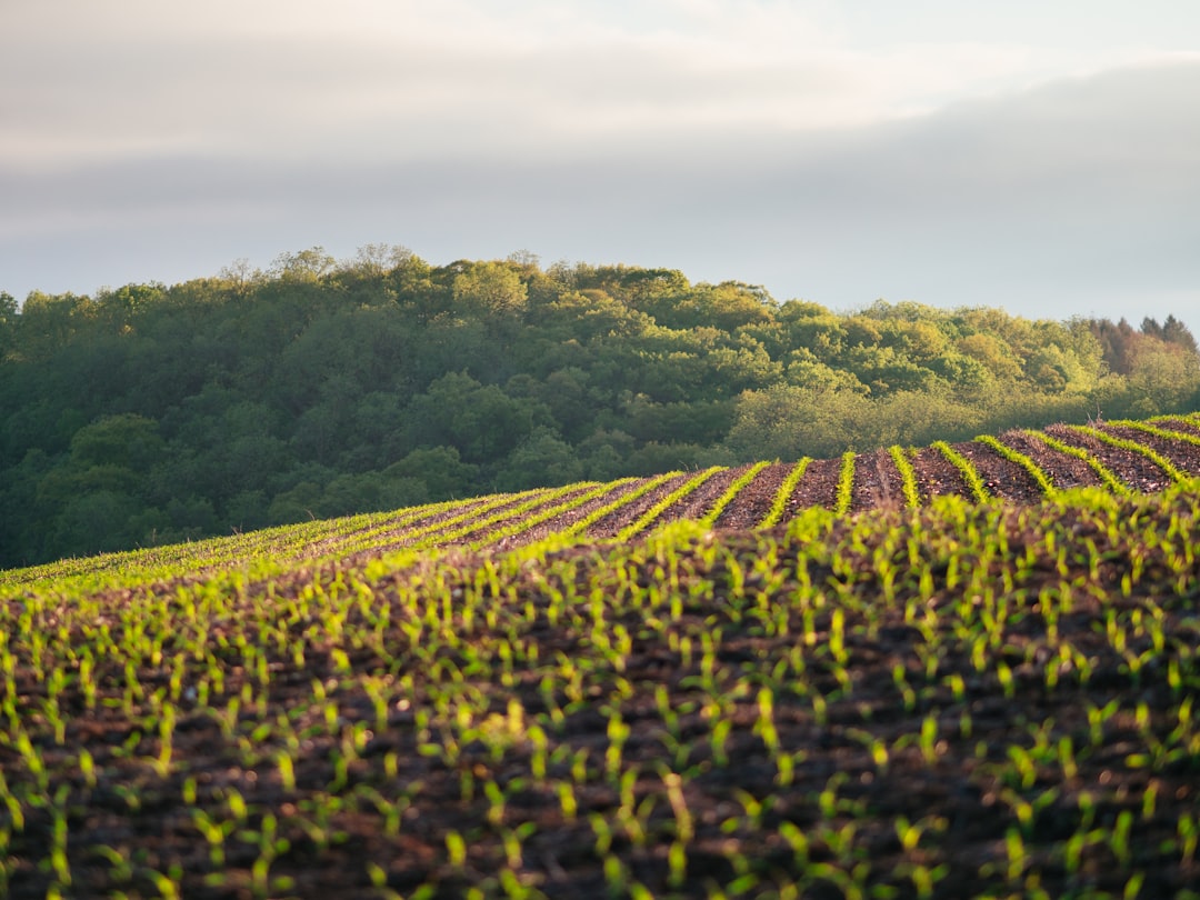 Photo Smart farming