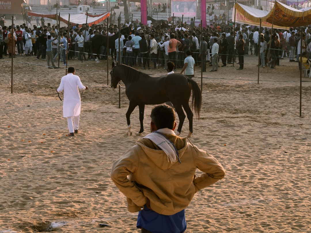 Photo Silk Road