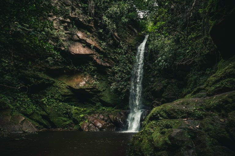 Préservation de l'Amazonie et recherche de financement international pour la conservation.: L’expansion de l’influence du Brésil dans les négociations mondiales sur le climat