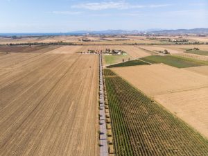 Levier stratégique par les exportations agricoles.: Le rôle du Brésil dans la sécurité alimentaire mondiale