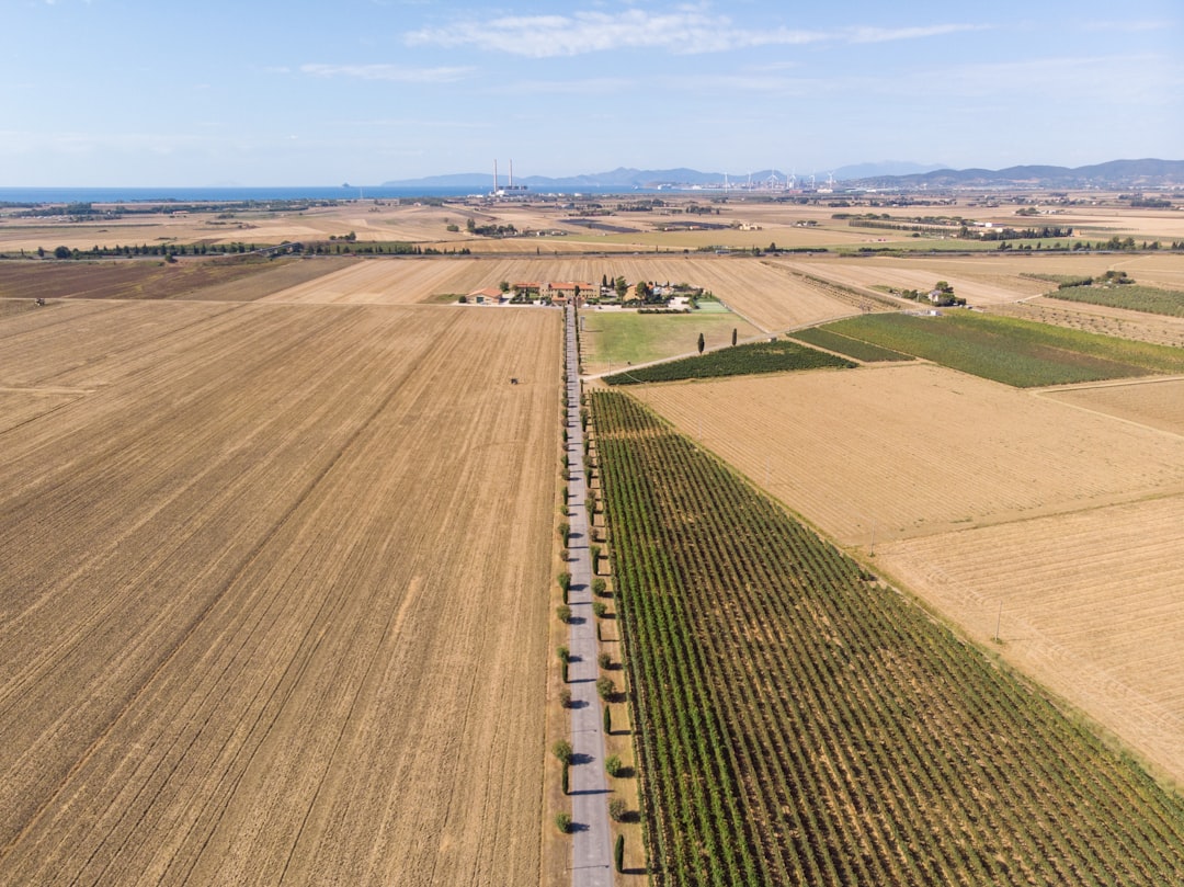 Photo Agricultural exports