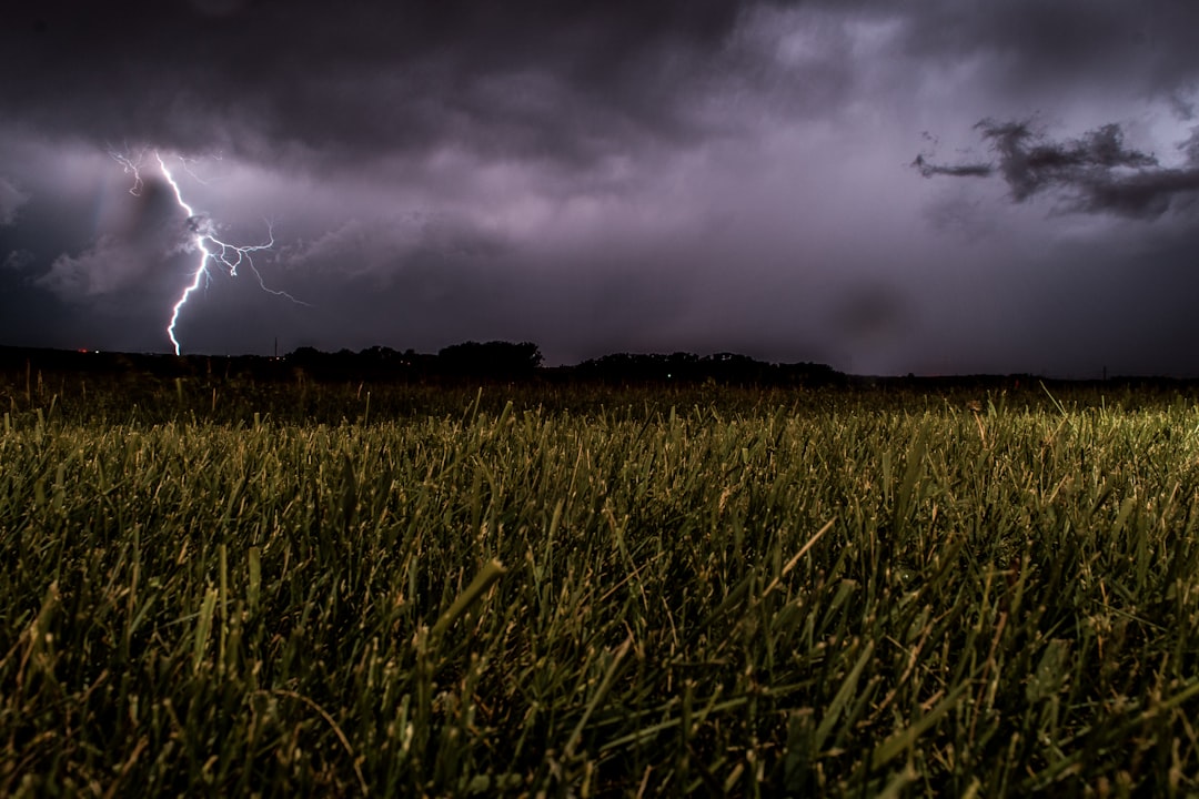 Photo Agricultural devastation