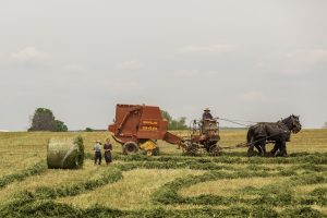 Le rôle de l’IA dans l’optimisation agricole crée de nouvelles dépendances, donnant des avantages aux nations dotées de capacités avancées en IA.